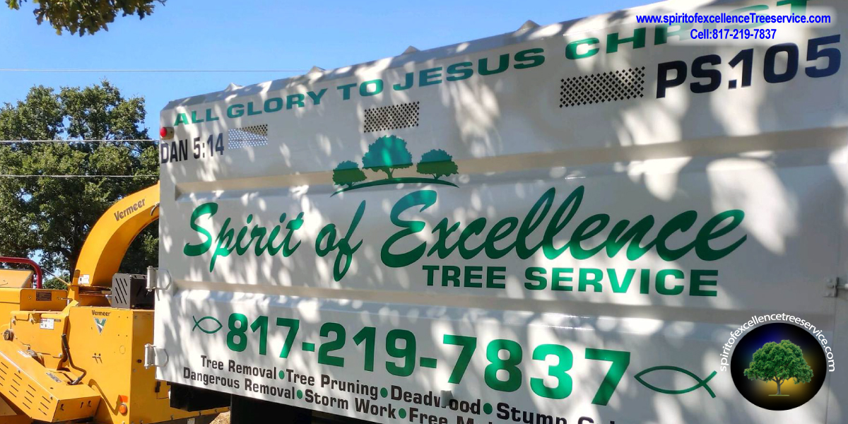  Mulching and Full Tree Service company including maintenance and planting | Spiritofexcellencetreeservice.com