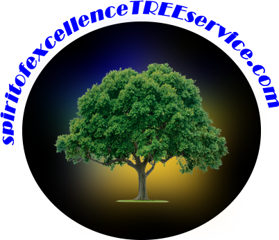 Tree Service | Spiritofexcellencetreeservice.com